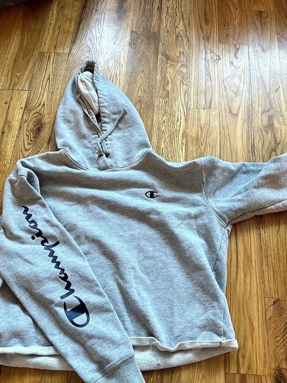 Champion Authentic Athleticwear Script Logo Hoodie Gray Large